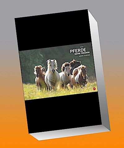 Pferde Meine Freunde Kalender 2023. Ein großer Wandkalender mit spektakulären Pferdefotos von Sabine Stuewer. Das Großformat bringt die edlen Tiere bestens zur Geltung.